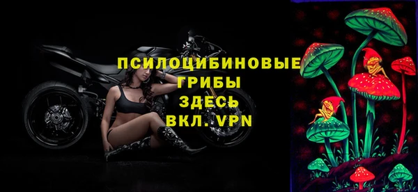 соль курить ск Надым
