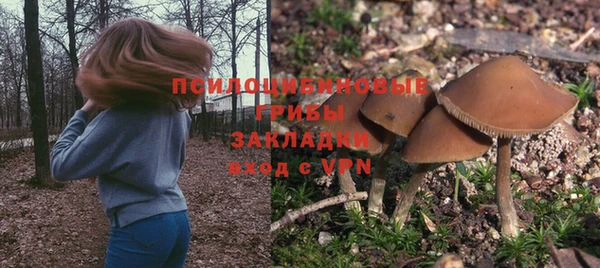 соль курить ск Надым