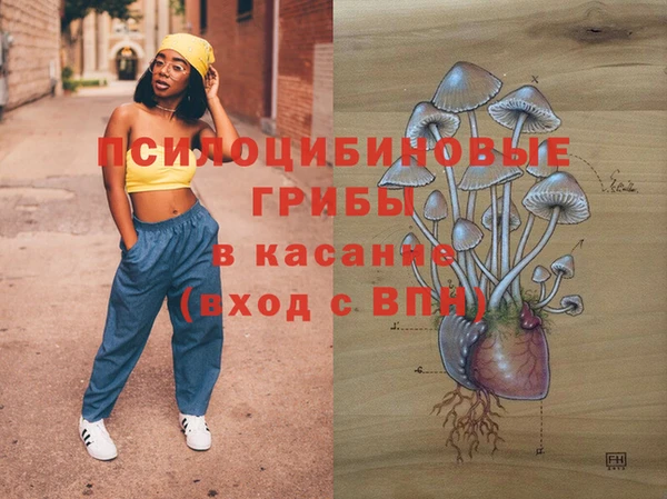 соль ск Наволоки