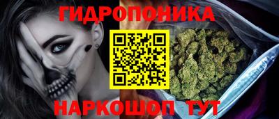 эйфоретик Бийск