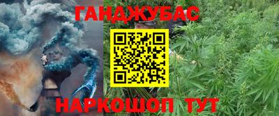 эйфоретик Бийск
