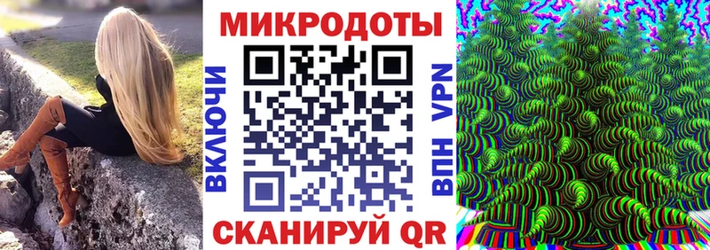 Псилоцибиновые грибы MAGIC MUSHROOMS  блэк спрут сайт  Михайловск 