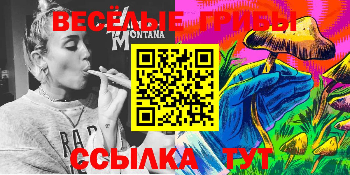 Псилоцибиновые грибы Cubensis Михайловск