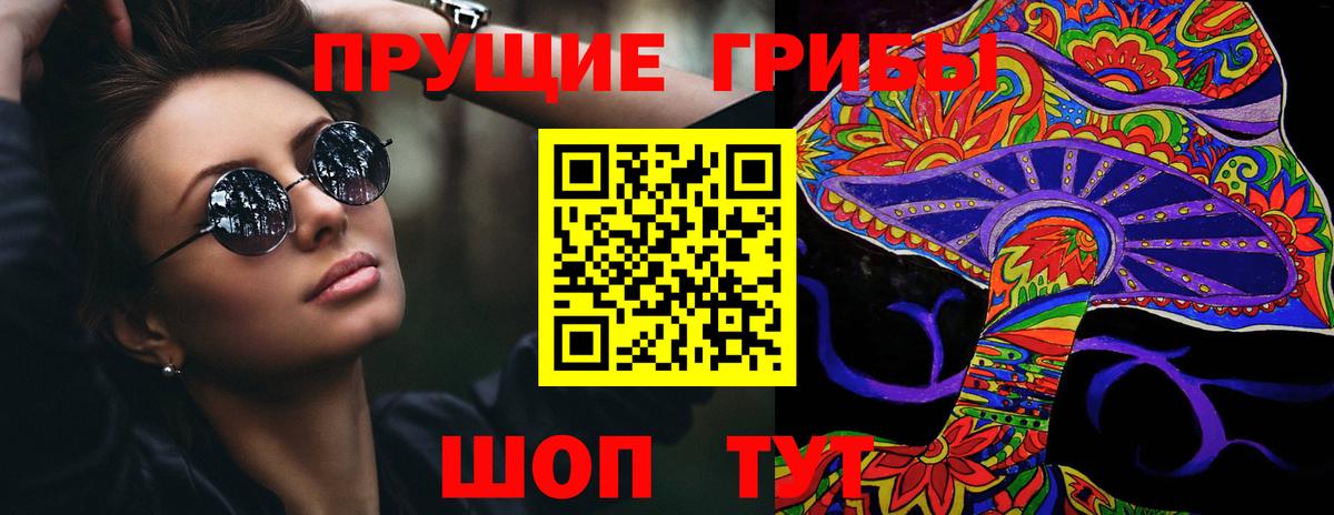 Псилоцибиновые грибы GOLDEN TEACHER  Галлюциногенные грибы Cubensis  Вход с VPN  Михайловск 